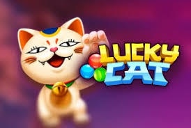 Funky : Lucky Cat - GECKO158